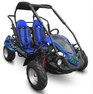 TrailMaster BLAZER 200R GoKart